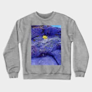 Yellow Flower in the Blue Rocks Crewneck Sweatshirt